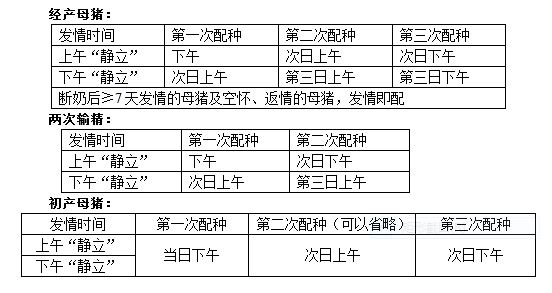 比较专业的《配种作业指导书》，非常适合养猪初学者学习！