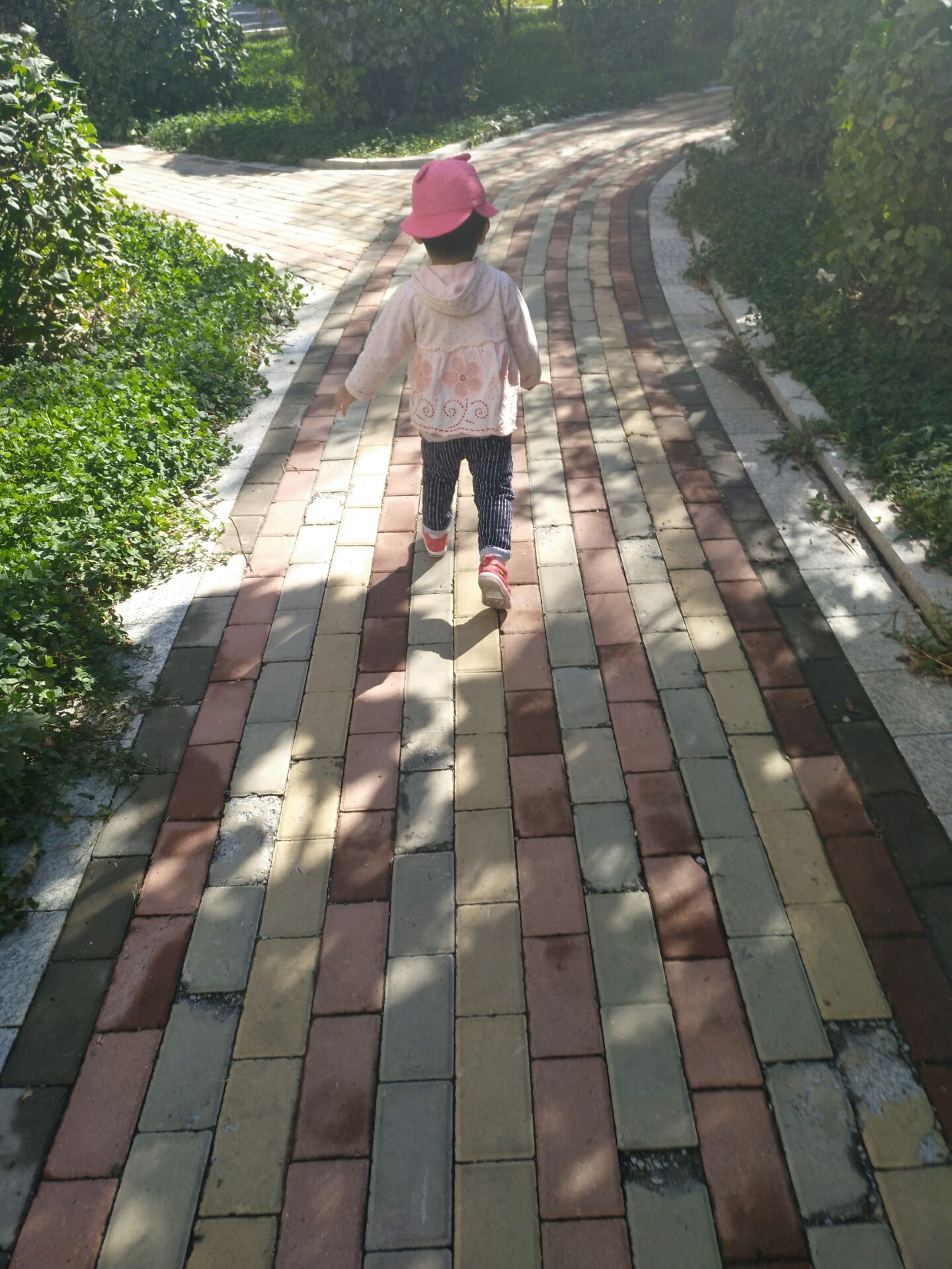 家里有宝宝挑食的看过来,家里宝宝经常便秘