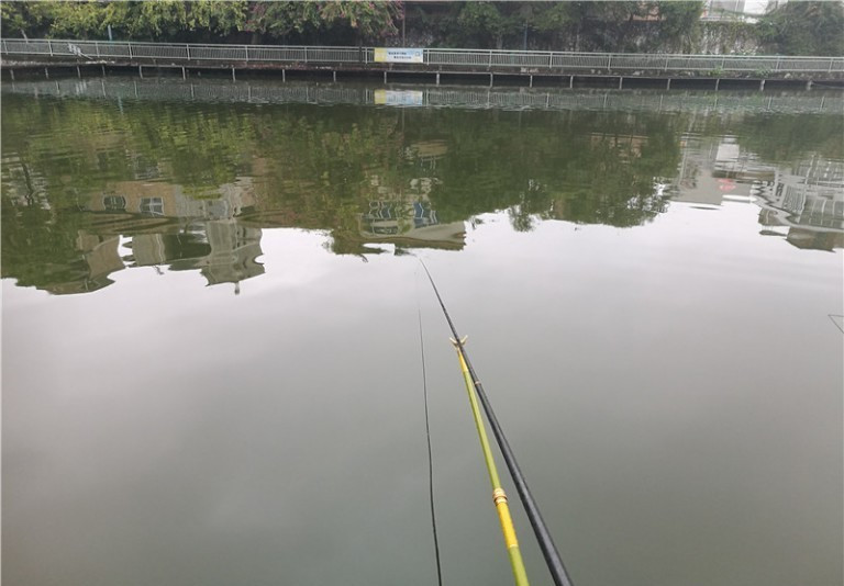 最后几天在玉林，别人掐鱼我练杆