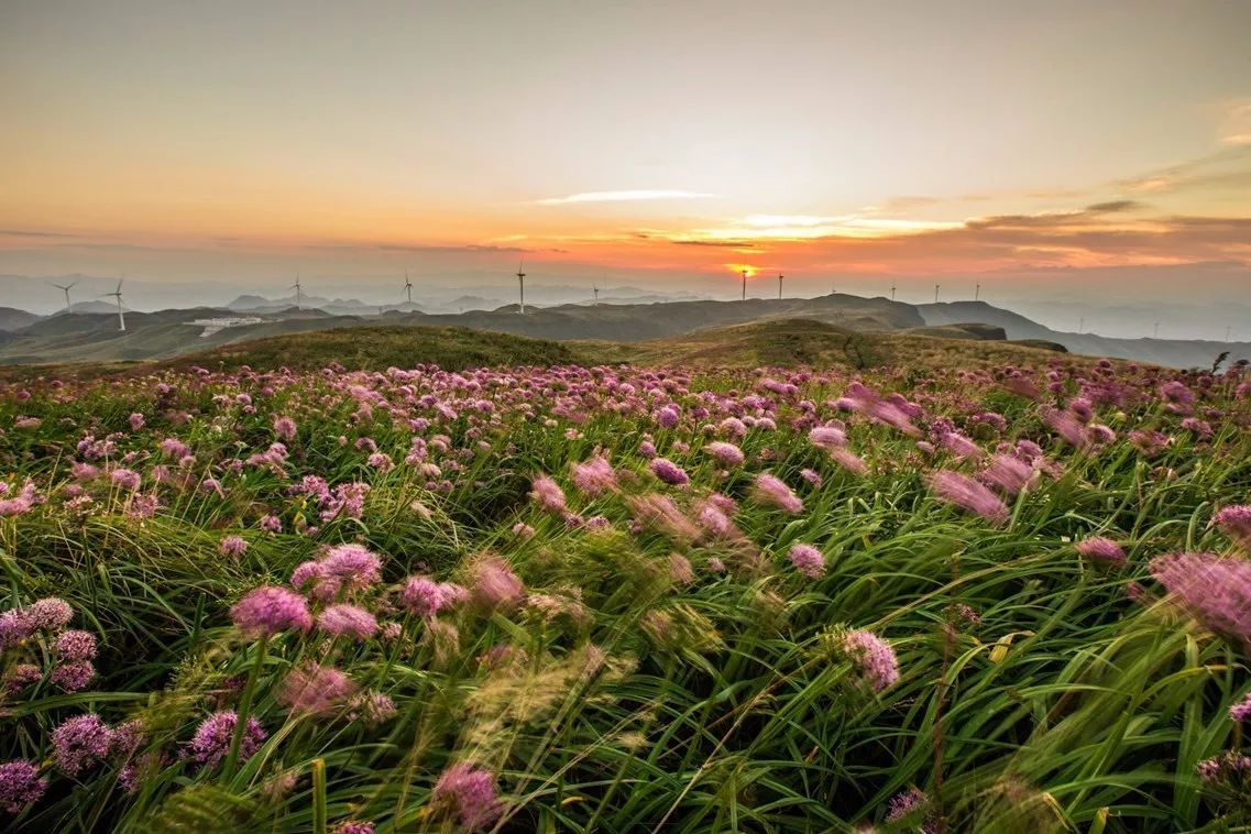北方已经初冬了，贵州的这些地方秋意正浓，现在去正当时！