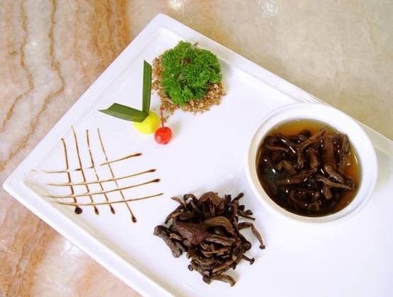 对不起我要去学校了模板,对不起我要去天津了