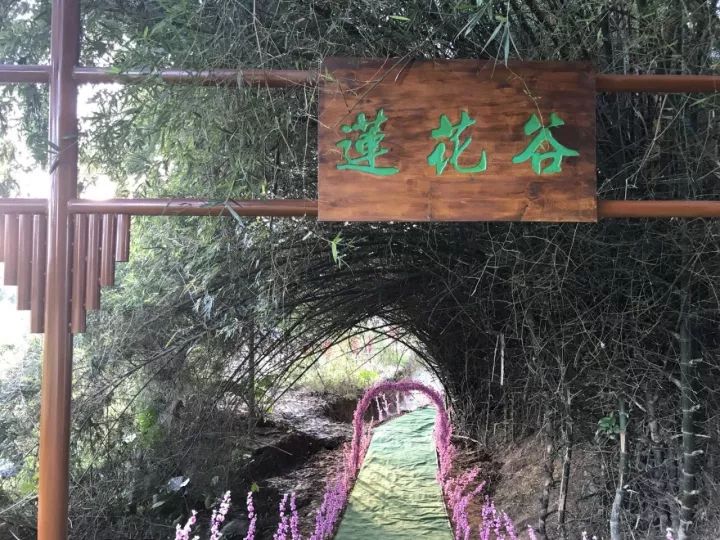 双十一光棍节活动主题,双十一光棍节图集