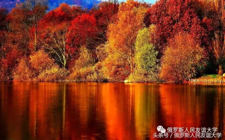 俄罗斯的秋天视频,俄罗斯的深秋美景