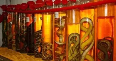 自制药酒别乱喝当心药酒变毒酒,自制药酒有没有毒