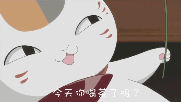 你知道中国什么地方产最好的茶吗,各个省份产什么茶