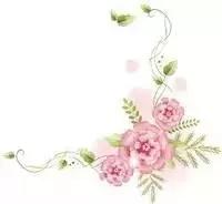 可以激发男人荷尔蒙的香水排行,爱马仕尼罗河香水适合男人吗