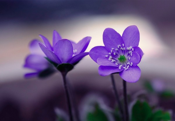 我越来越爱你每个眼神触动我的心,我越来越爱你