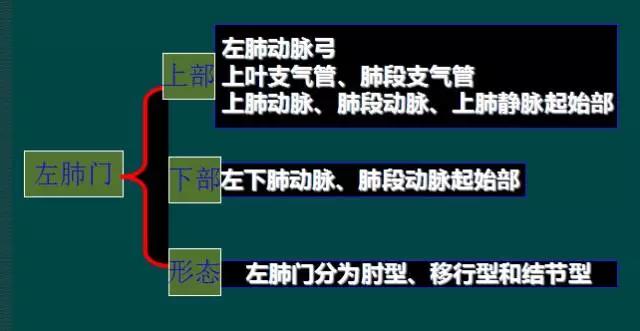 读完该文,让你学会如何看胸片