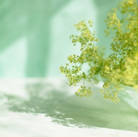 栗子姐情感专访,栗子姐情感问答全集