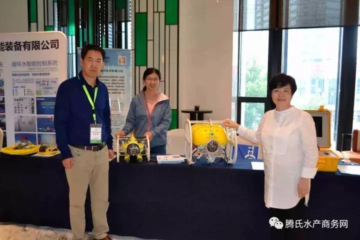 对虾黑死病,对虾偷死严重检测什么指标