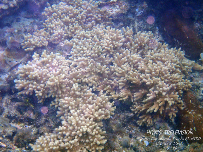 阳光，假日，海滩，带你深度游巴拉望上