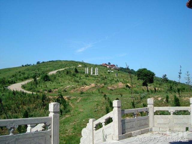 徐州市睢宁县有全国千强镇吗,江苏省徐州市睢宁县各镇排名