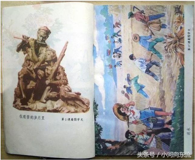 20年前的课本满满的回忆,20年前的语文课本有哪些课文