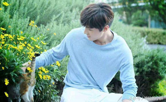 网易云热评墙NO.37