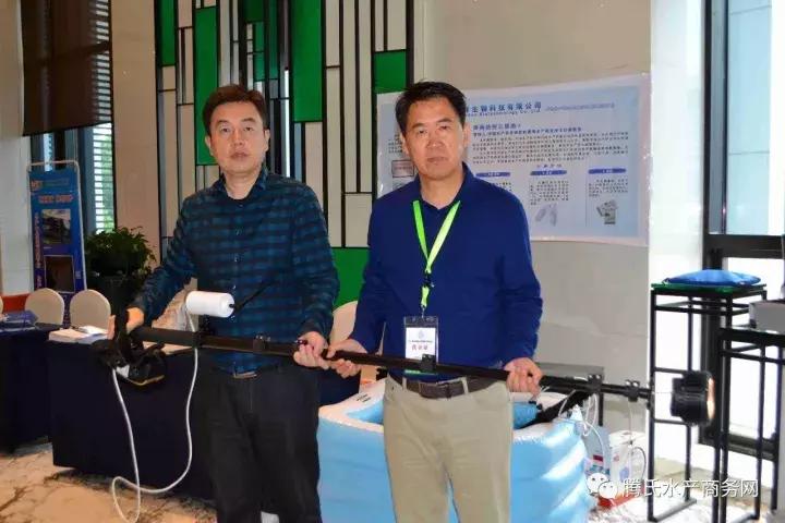 对虾黑死病,对虾偷死严重检测什么指标