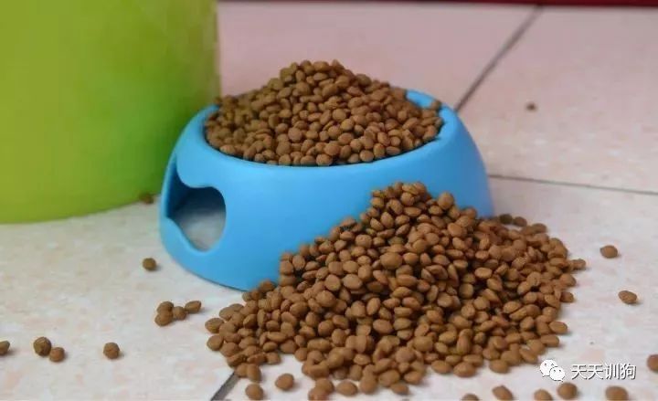 狗狗身上有皮屑能驱虫吗,狗狗身上皮屑用什么药