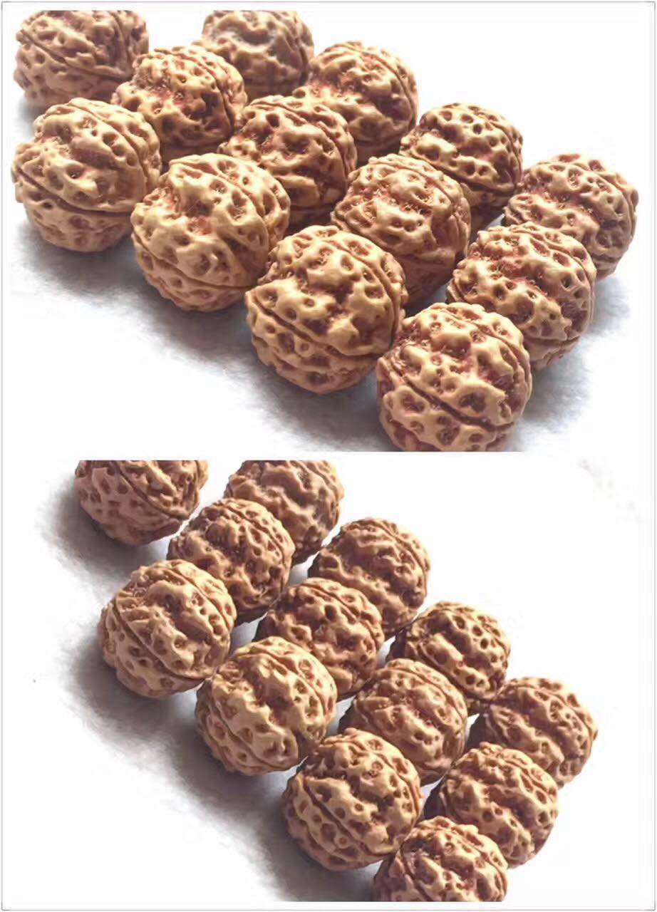 金刚菩提在哪里进货便宜,最好的小金刚菩提子是哪种