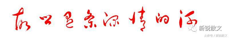 兄弟情汾酒,兄弟情与亲情