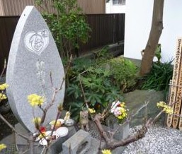 最奢华的宠物,带你看看宠物的奢侈生活