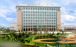 知名假发品牌大全排名,十大假发品牌排行榜前十名有哪些