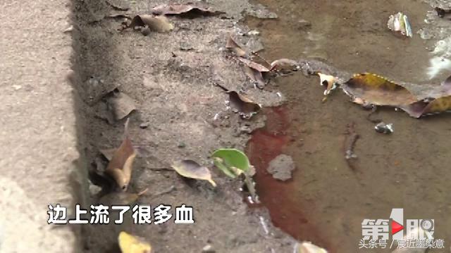 有惊无险的宝宝,极速惊险救小婴儿