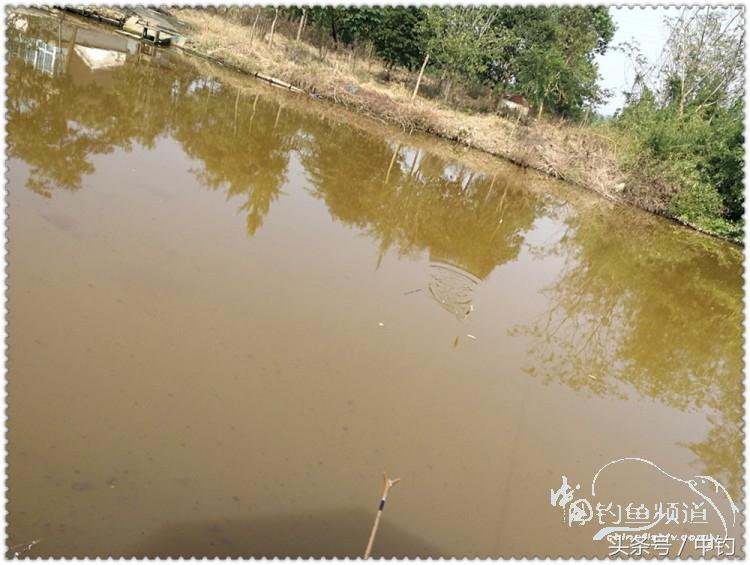 国庆节的来历,国庆头像