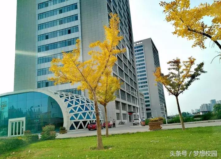 甘肃农业大学宣传片完整版,甘肃农业大学校园风景视频