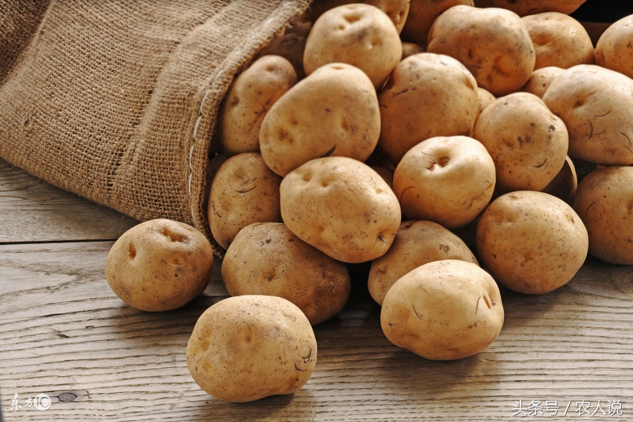 2022年土豆批发价格,2020年7月20日山西土豆批发价格