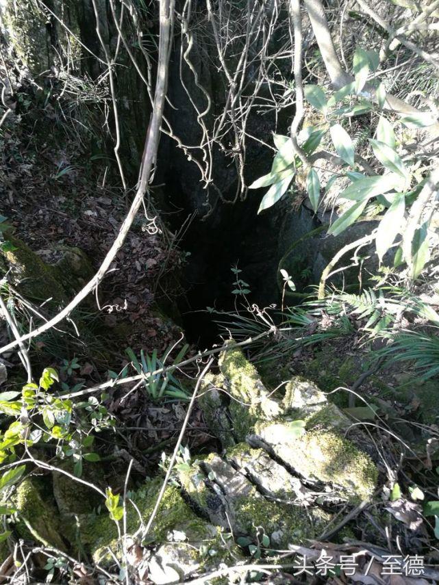 泸州深山老林景区,隐藏的世外桃源山中奇观