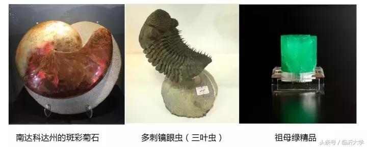 恐龙来了！上万元门票同时砸中幸运的你！