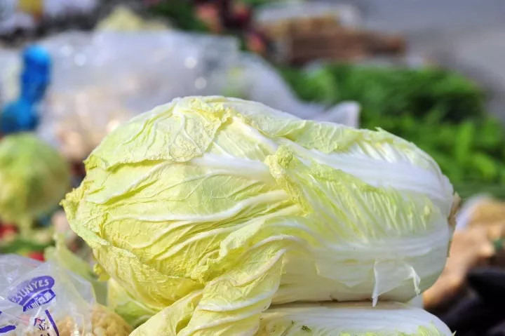 白菜帮里有黑斑,白菜帮内侧有黑斑为什么