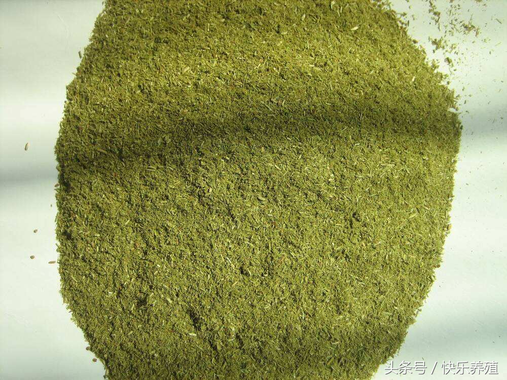 养牛用什么添加剂长得快些,养牛用什么添加剂长得快呢