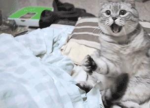 6块的东西用出600块的效果!这些玩意儿真是惊艳到我了!