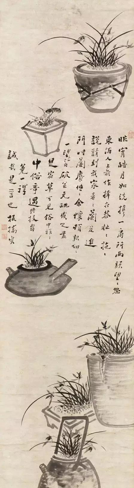 郑板桥画的是兰花还是兰草,郑板桥画不画兰花