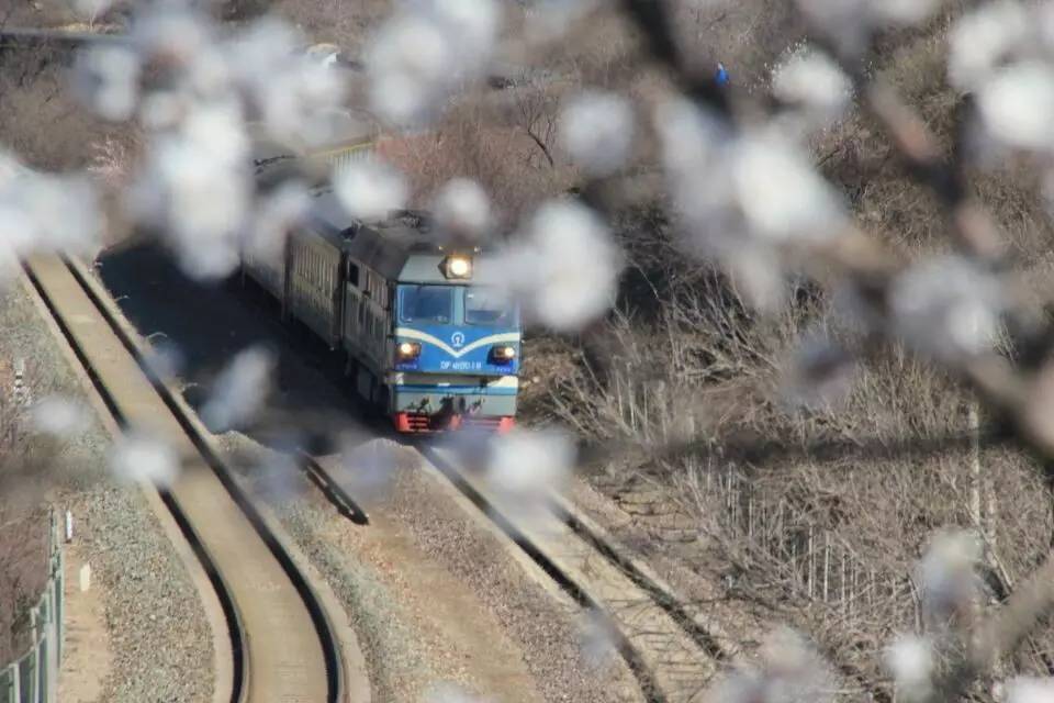 开往春天的列车图片唯美,开往春天的列车看图作文