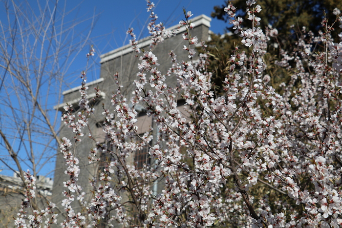 佳能eos80d高清图片,佳能2420像素和4500像素区别