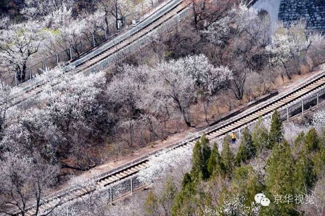 开往春天的列车，我们看图就行了