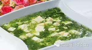 春季野菜采摘图解高清图片,春季野菜多种做法