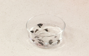 无花果海底椰鸭汤,海底椰萝卜猪脚汤