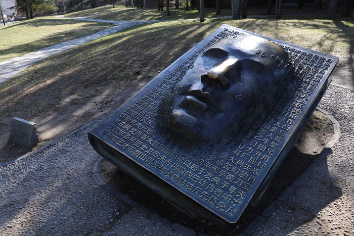 佳能eos80d高清图片,佳能2420像素和4500像素区别