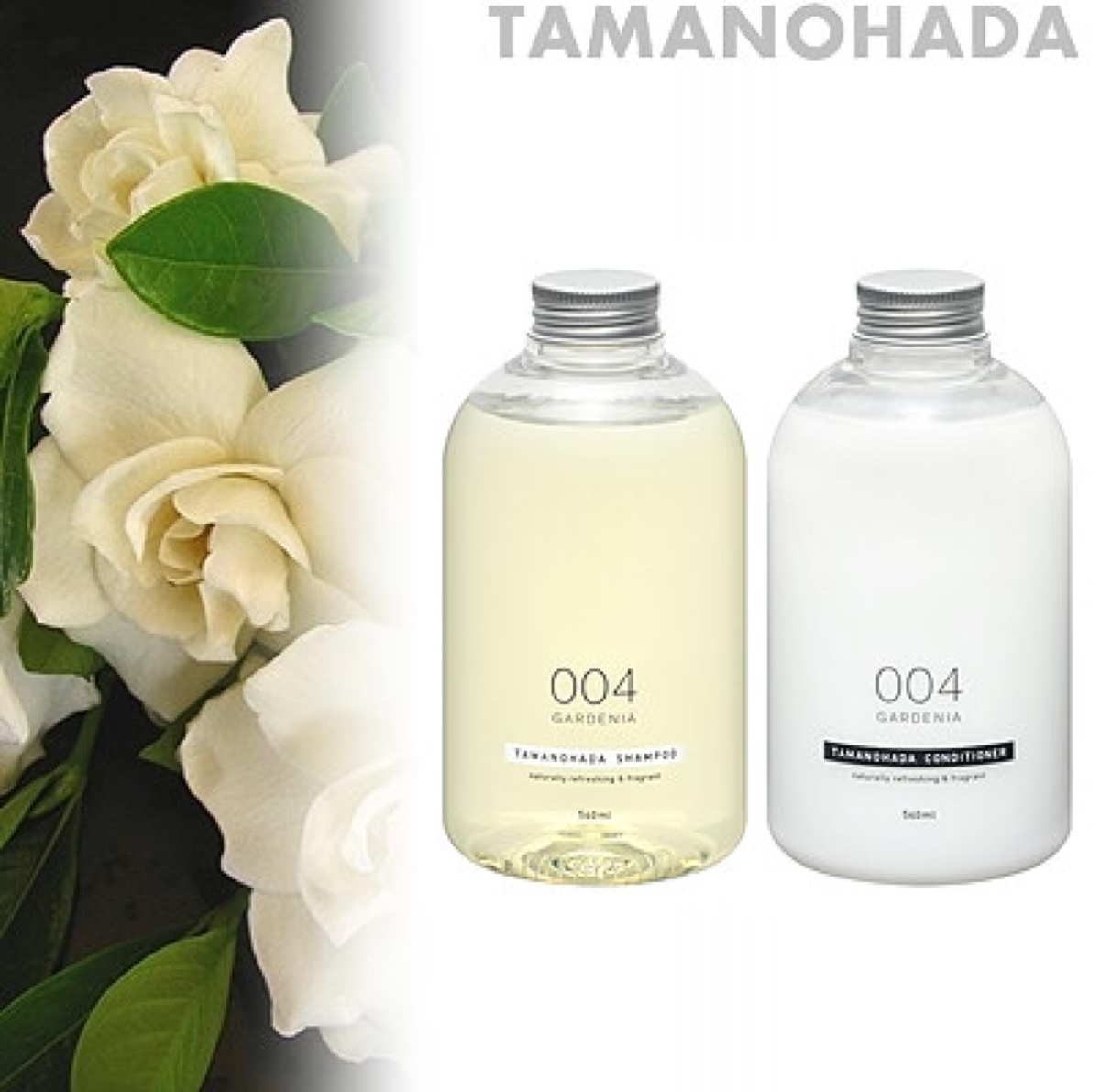 解脱|大好*光春**万物生，脱发掉发烦死人