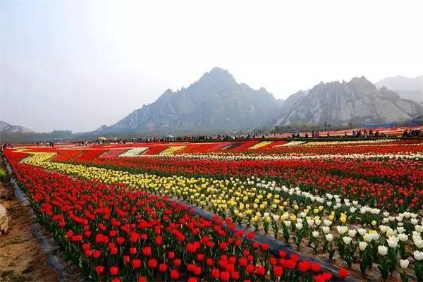 河南风景最美的16家酒店，你去过几个？