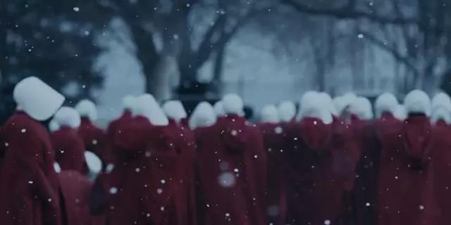 为何近几年女权主义如此火爆,为何女权如此猖狂