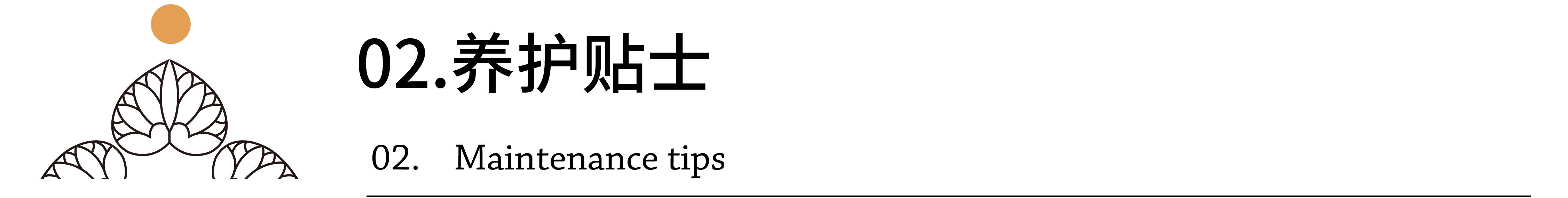 Mufeeling植物养护小百科｜春羽篇