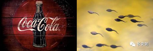 金拱门火了,金拱门是怎么样的