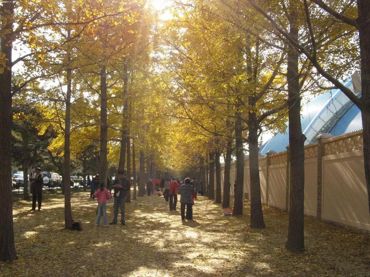机票价格大跳水最低到0.7折啥情况,机票最低240元