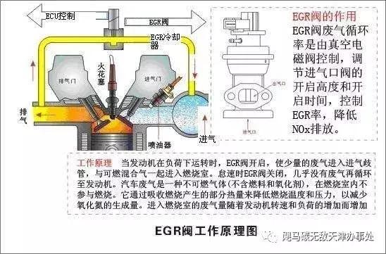 爱车做“B超”！看看跟人一样一样de！小白老白都稀罕