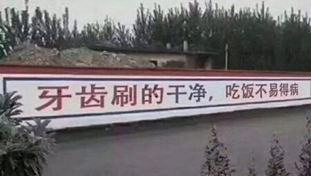 护牙固齿最好的方法,护牙要诀