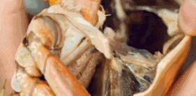 澳洲进口的大闸蟹,澳洲超市里的冰冻大闸蟹