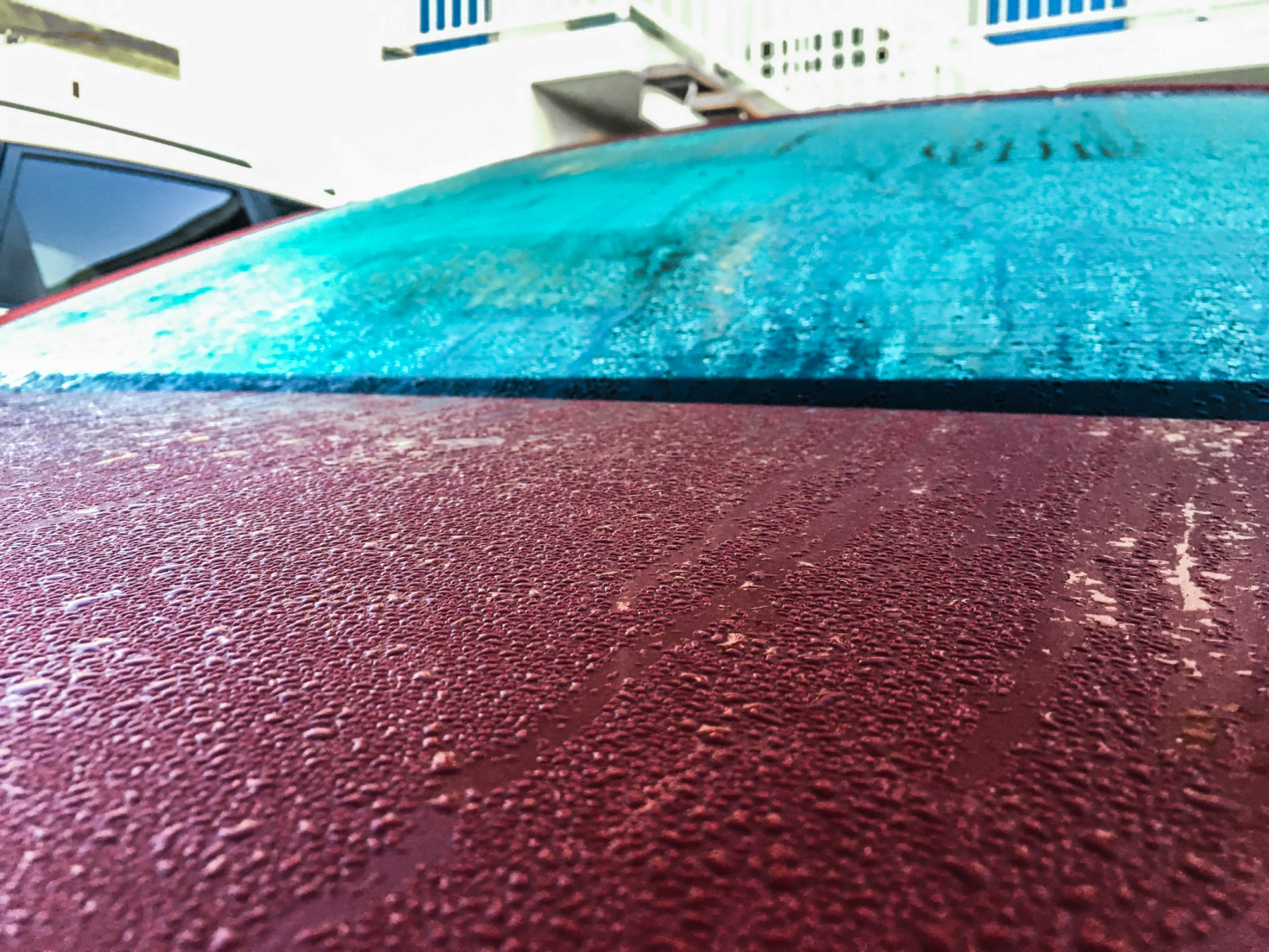 西海岸游记6,美国东海岸和西海岸自驾游